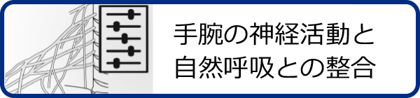 手腕の神経活動と自然呼吸との整合