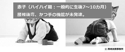 人は赤子の頃は腰椎後弯（ブリッジ構造）