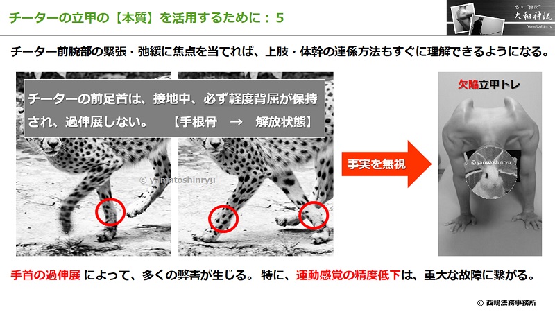 チーターの立甲の本質５：手首の軽度背屈