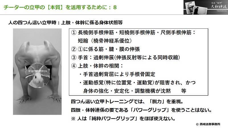 チーターの立甲の本質８：人の四つん這い立甲時の状態