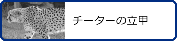 チーターの立甲