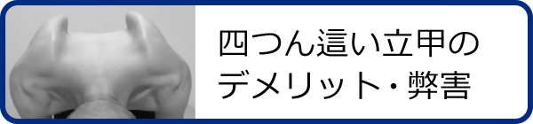 四つん這い立甲トレーニングの注意点・デメリットと立甲できない原因
